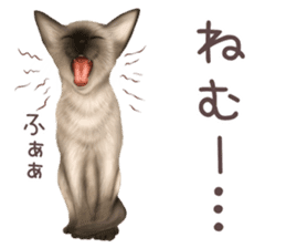 zumo cats sticker vol.2 (Japanese) sticker #7620508