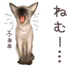zumo cats sticker vol.2 (Japanese) sticker #7620508