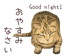 zumo cats sticker vol.2 (Japanese) sticker #7620509