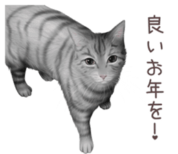 zumo cats sticker vol.2 (Japanese) sticker #7620511