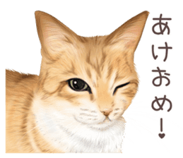 zumo cats sticker vol.2 (Japanese) sticker #7620512