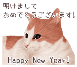 zumo cats sticker vol.2 (Japanese) sticker #7620513