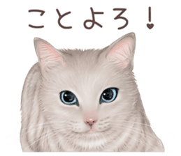 zumo cats sticker vol.2 (Japanese) sticker #7620514