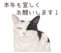 zumo cats sticker vol.2 (Japanese) sticker #7620515