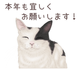 zumo cats sticker vol.2 (Japanese) sticker #7620515