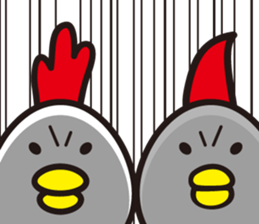 Funny birds.. sticker #7620632