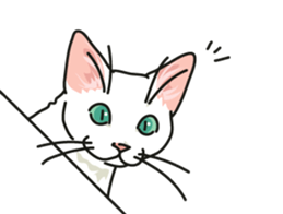 Ikasu white cat. sticker #7622637