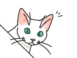 Ikasu white cat. sticker #7622637