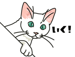 Ikasu white cat. sticker #7622641