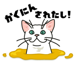 Ikasu white cat. sticker #7622642