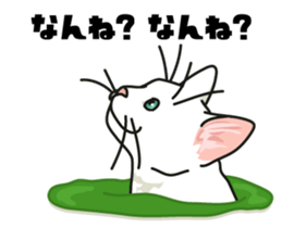 Ikasu white cat. sticker #7622643