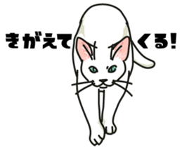 Ikasu white cat. sticker #7622644