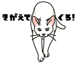 Ikasu white cat. sticker #7622644