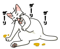 Ikasu white cat. sticker #7622646