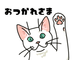 Ikasu white cat. sticker #7622647