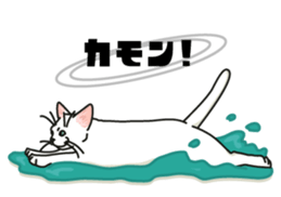 Ikasu white cat. sticker #7622649