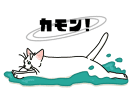 Ikasu white cat. sticker #7622649
