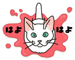 Ikasu white cat. sticker #7622651