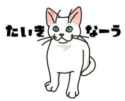 Ikasu white cat. sticker #7622653