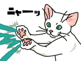Ikasu white cat. sticker #7622654