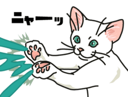 Ikasu white cat. sticker #7622654