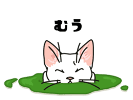 Ikasu white cat. sticker #7622659