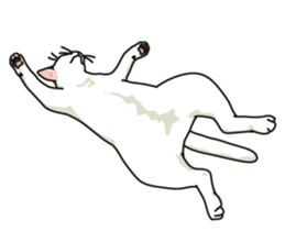 Ikasu white cat. sticker #7622660
