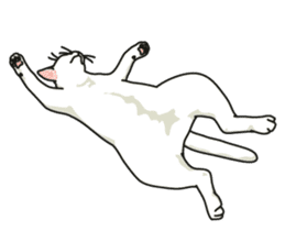 Ikasu white cat. sticker #7622660