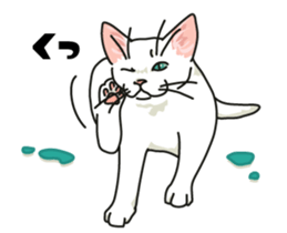 Ikasu white cat. sticker #7622661