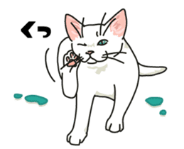 Ikasu white cat. sticker #7622661