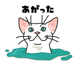 Ikasu white cat. sticker #7622665