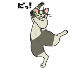 Ikasu white cat. sticker #7622666