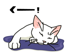 Ikasu white cat. sticker #7622668