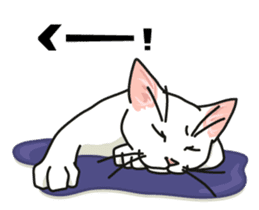 Ikasu white cat. sticker #7622668
