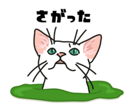 Ikasu white cat. sticker #7622669