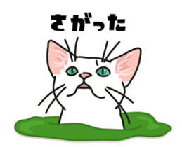 Ikasu white cat. sticker #7622669