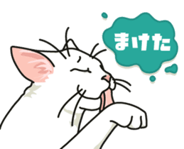Ikasu white cat. sticker #7622670