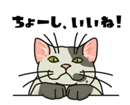 Ikasu white cat. sticker #7622671
