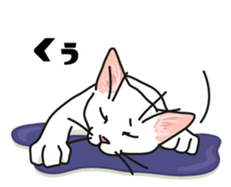 Ikasu white cat. sticker #7622672