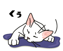 Ikasu white cat. sticker #7622672