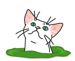 Ikasu white cat. sticker #7622673