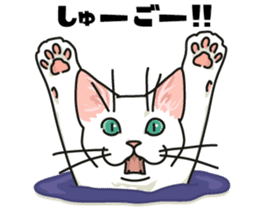 Ikasu white cat. sticker #7622675