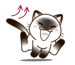 Tabby & Siame & Blk & Wht cat(Eng ver) sticker #7626845