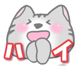 American Shorthair2. Sticker of cat. sticker #7628839