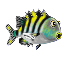 Beautiful fish sticker #7630945