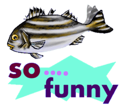 Beautiful fish sticker #7630948