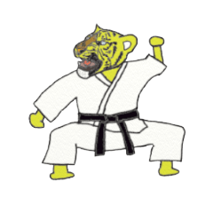 tiger us karate