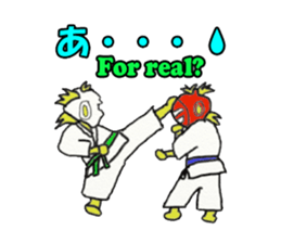 tiger us karate sticker #7631901