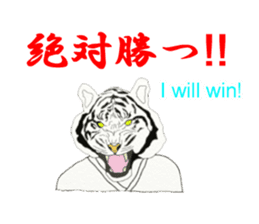 tiger us karate sticker #7631935