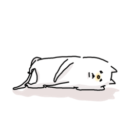 He is like a cat. 2 sticker #7632076